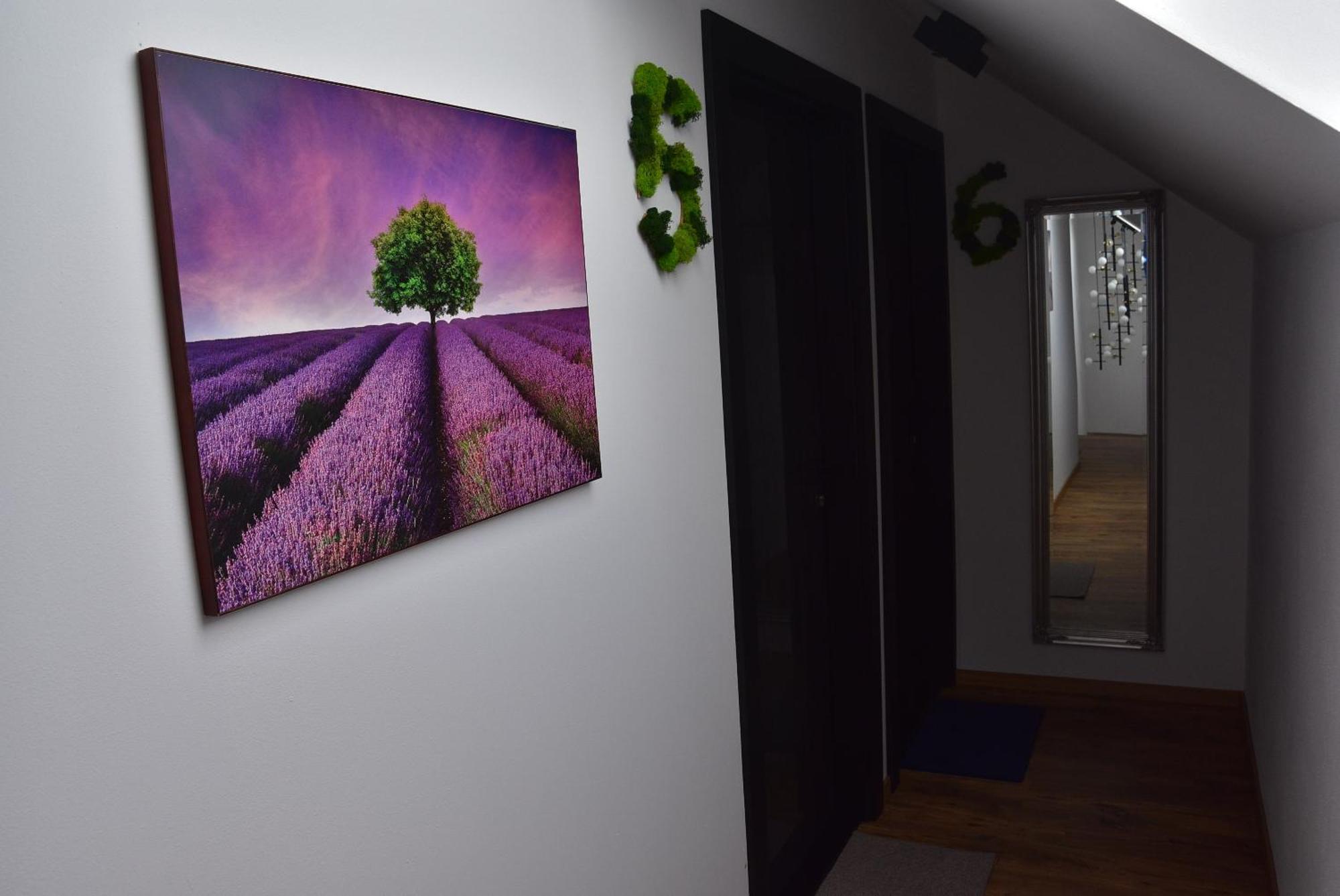 Apartmany Zakovce & Spa Велика Ломниця Екстер'єр фото